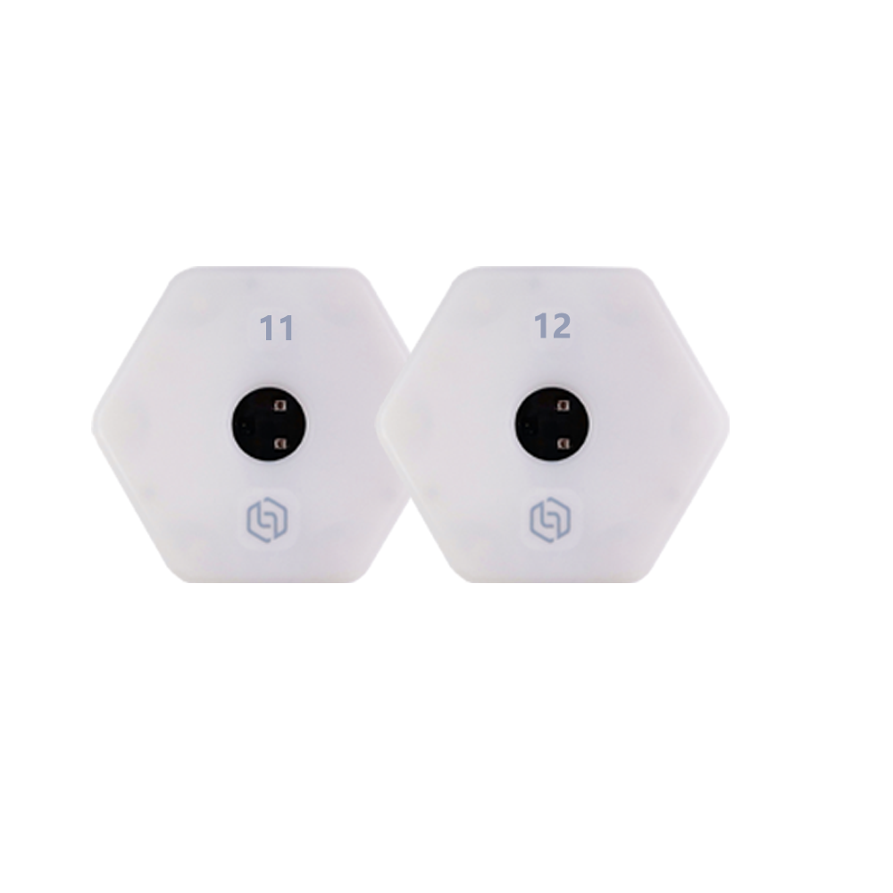 Agile Training Light Wireless InductionFootball and Basketball Training Equipment2 Lights and 4 Lights+APP